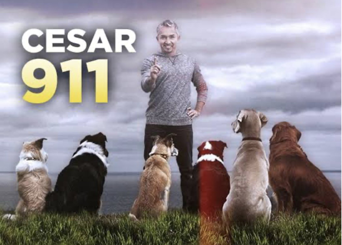 Cesar 911 — Nat Geo