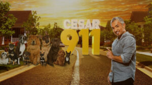 Cesar 911